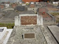 Full-size image