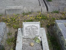Full-size image