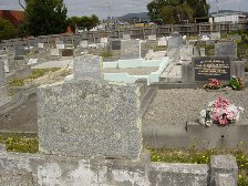 Full-size image