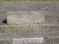 Full-size image