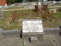 Full-size image