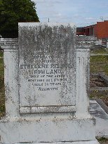 Full-size image