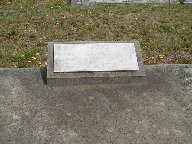 Full-size image