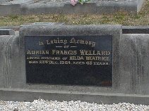 Full-size image