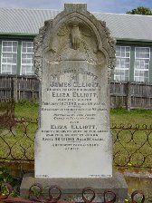 Full-size image