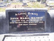 Full-size image