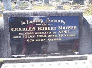 Full-size image