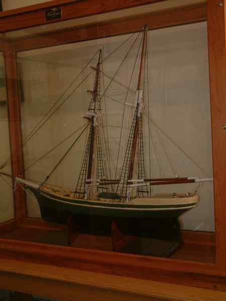 Full-size image