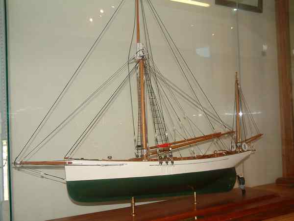 Full-size image