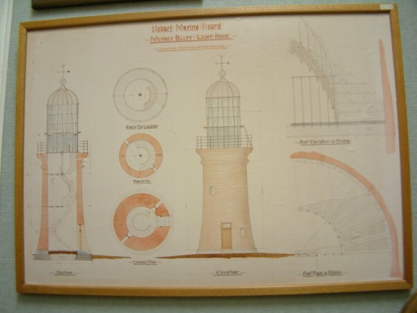 Full-size image