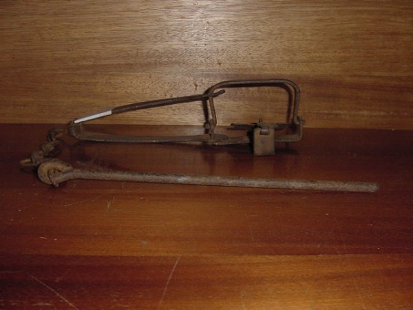 Full-size image