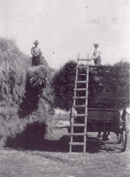 Full-size image