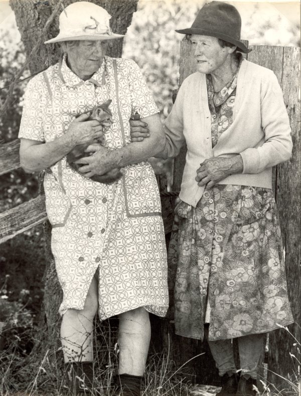 Full-size image