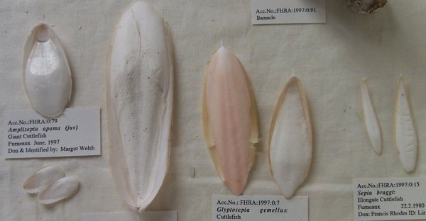 Full-size image