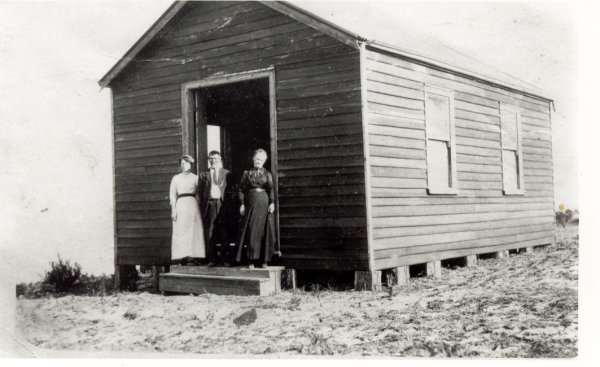 Full-size image