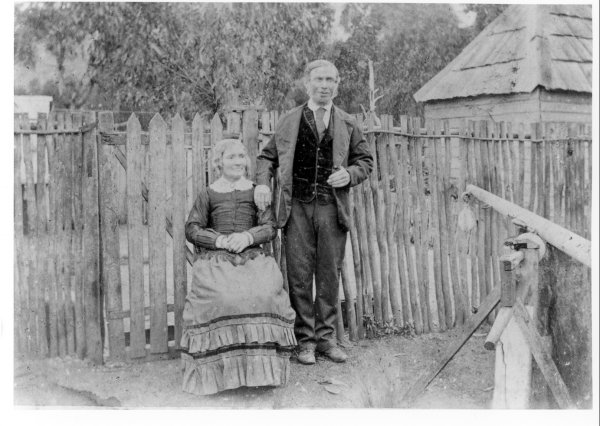 Full-size image