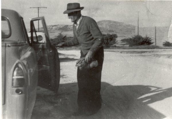 Full-size image