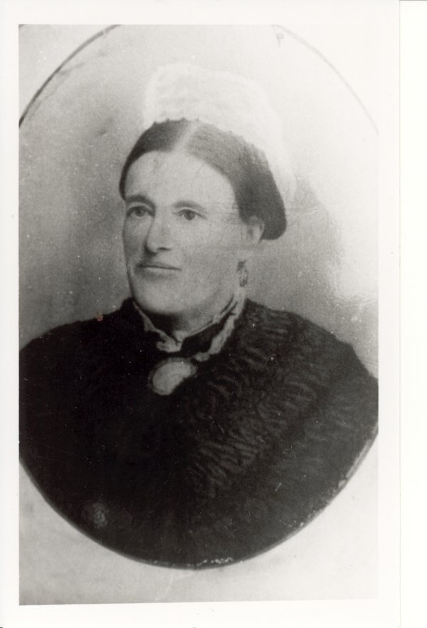 Full-size image
