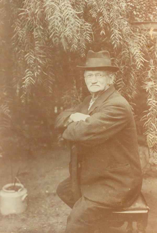 Full-size image