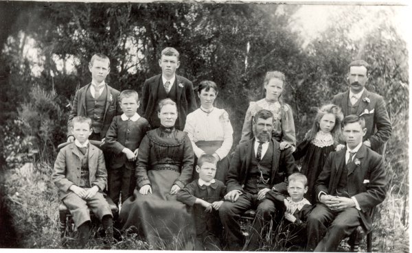 Full-size image