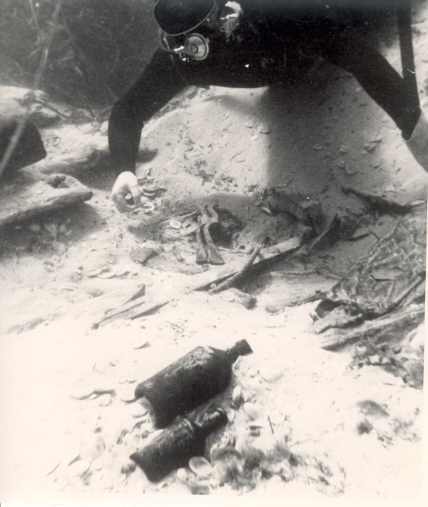 Full-size image