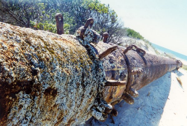 Full-size image
