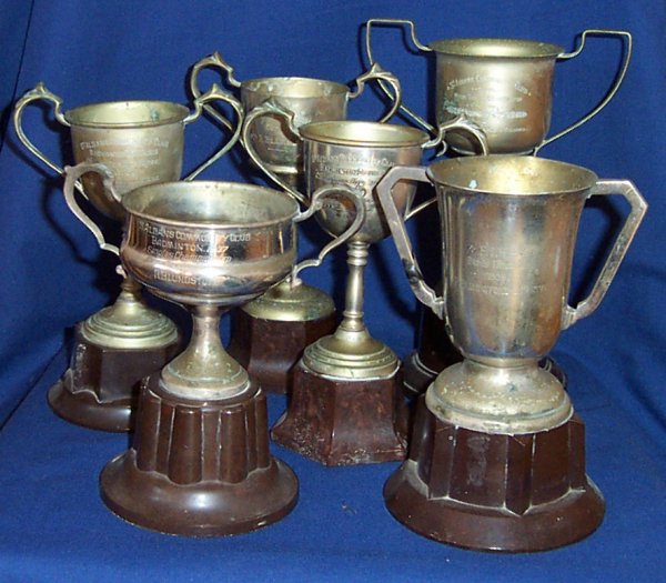 Full-size image