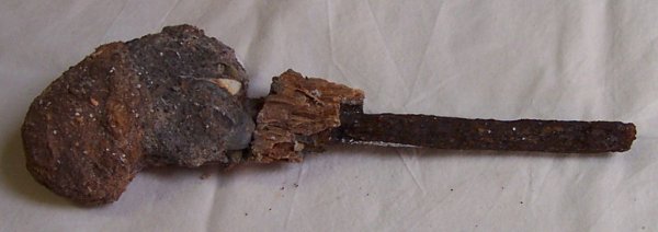 Full-size image