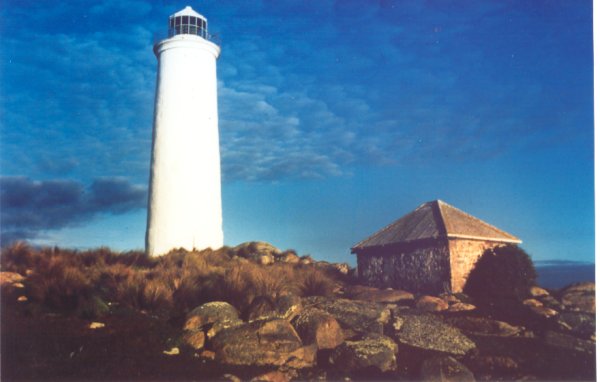 Full-size image