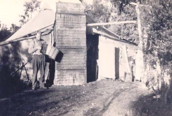 Full-size image