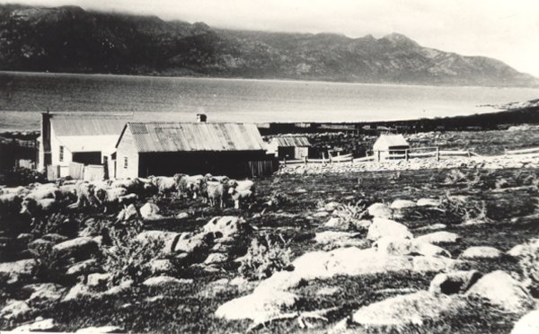Full-size image