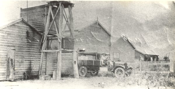 Full-size image