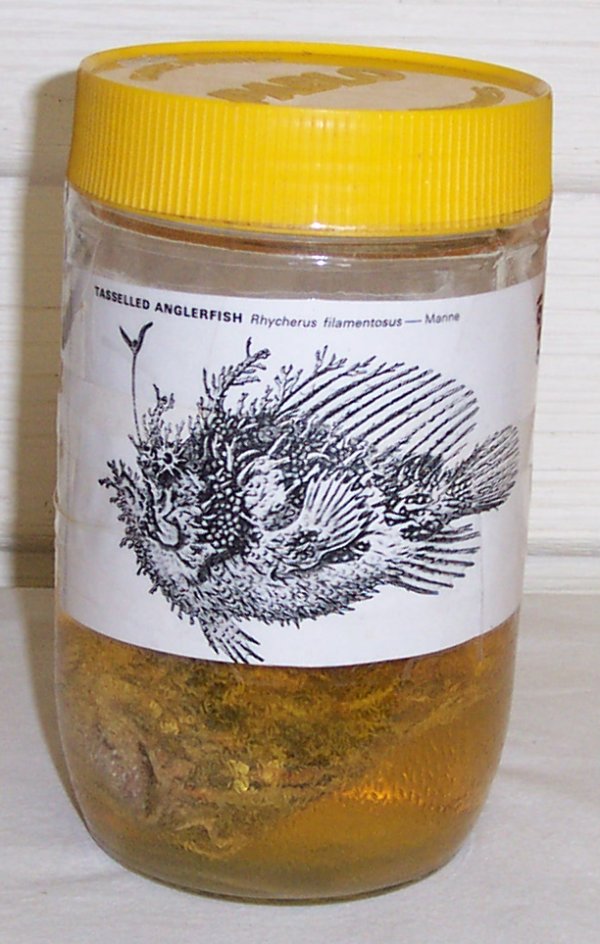 Full-size image