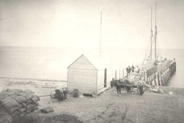 Full-size image