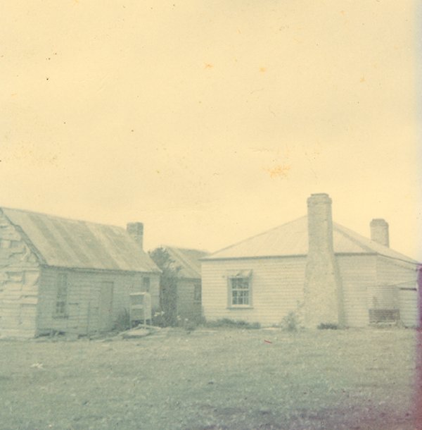 Full-size image
