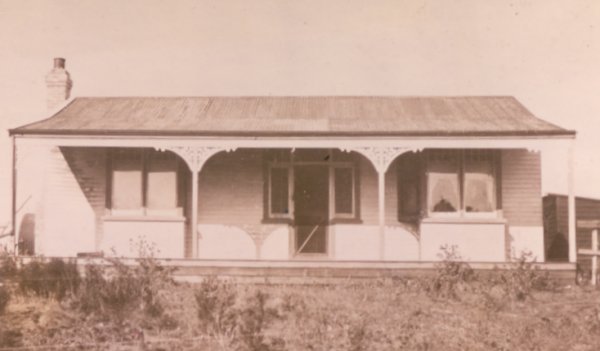 Full-size image