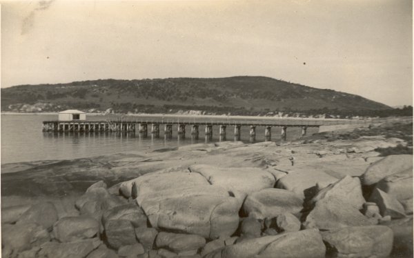 Full-size image