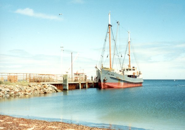 Full-size image