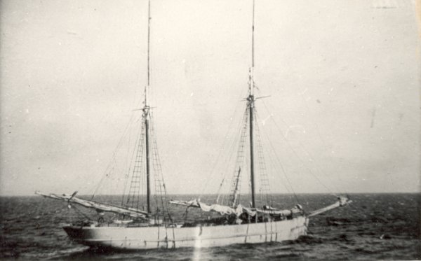 Full-size image