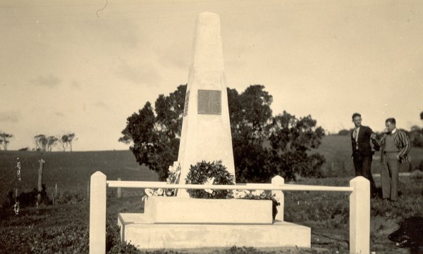 Full-size image
