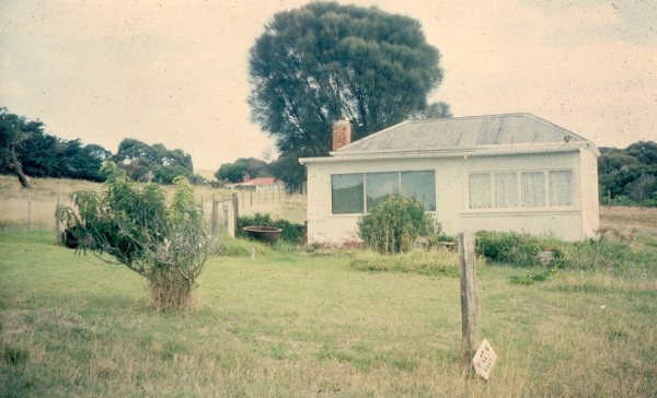 Full-size image