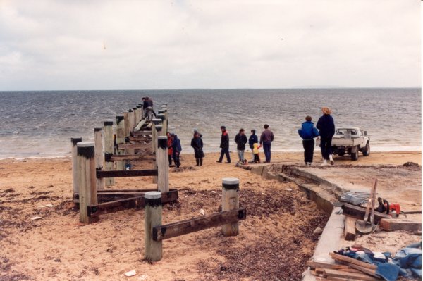 Full-size image
