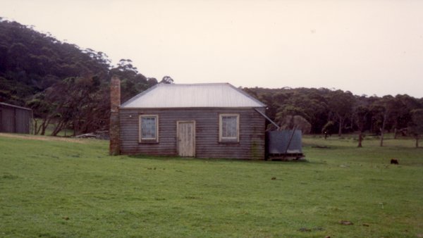 Full-size image