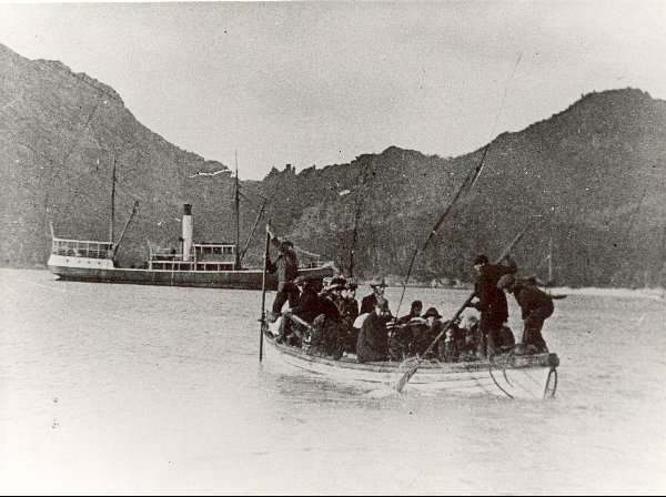 Full-size image