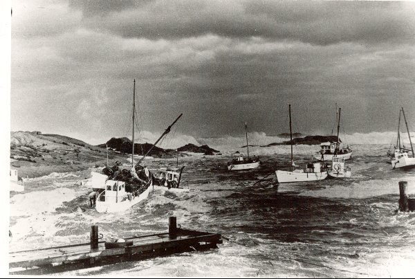 Full-size image