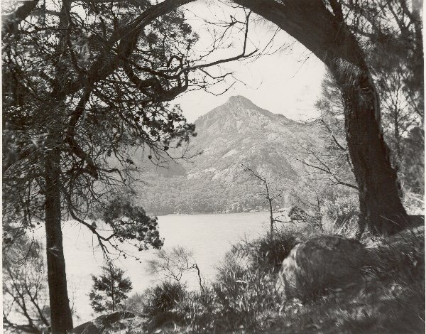 Full-size image