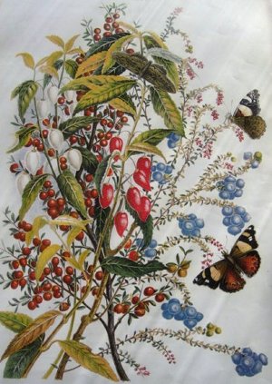 Full-size image