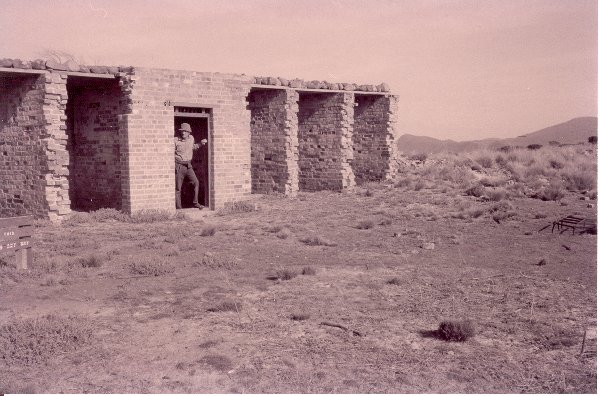 Full-size image