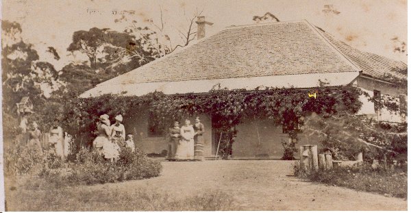 Full-size image