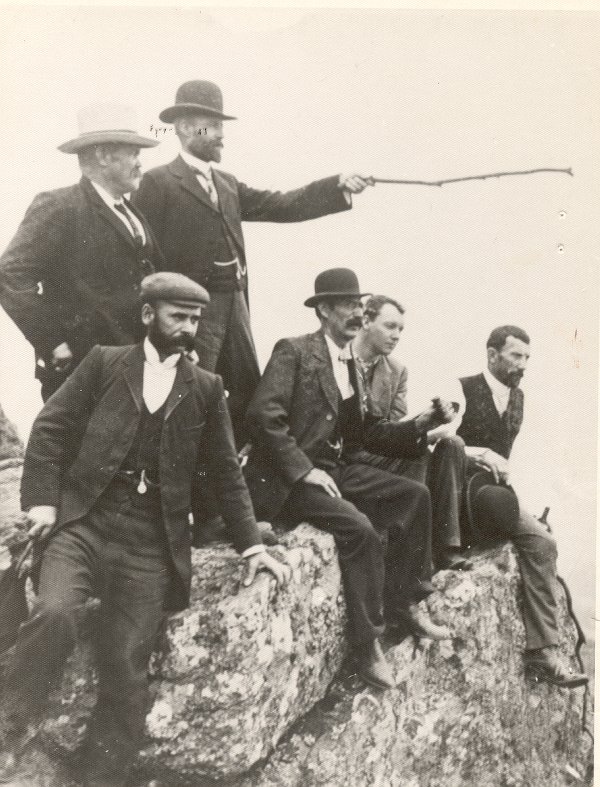 Full-size image